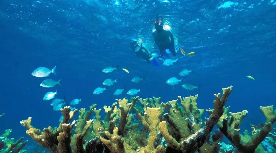 Beaches & Outdoor Adventures in Miami