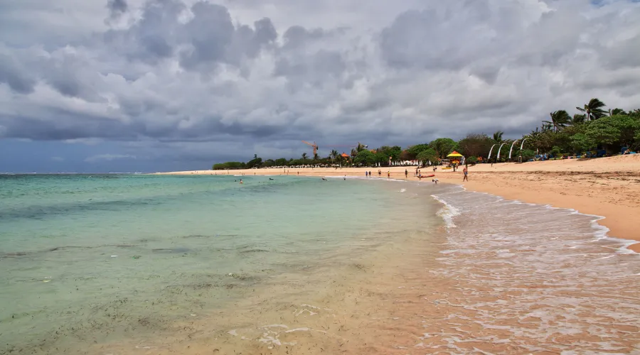 Beaches, Surfing & Marine Life