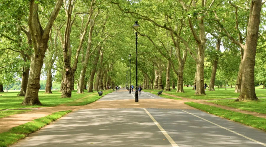 Outdoor & Unique Experiences in London