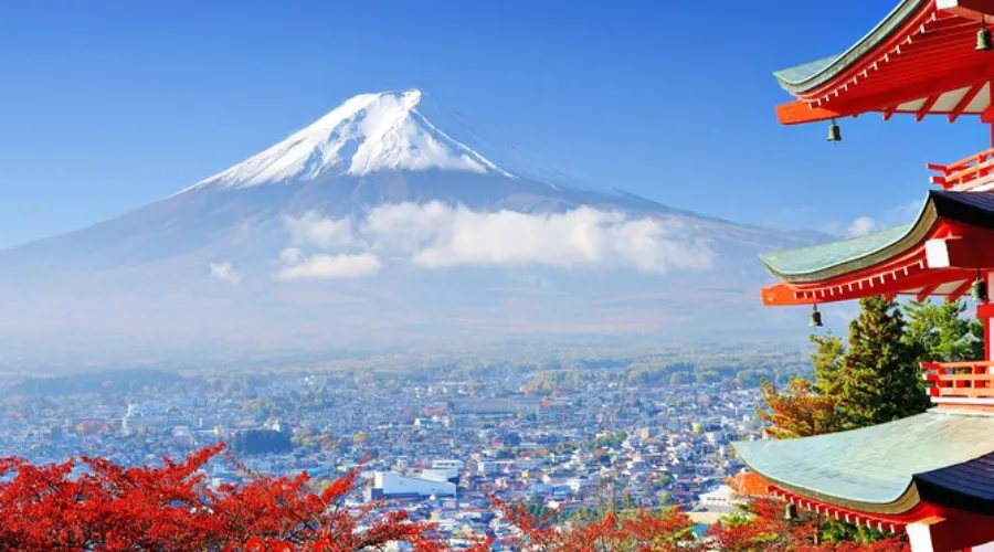 Recommended Tours & Planning Options