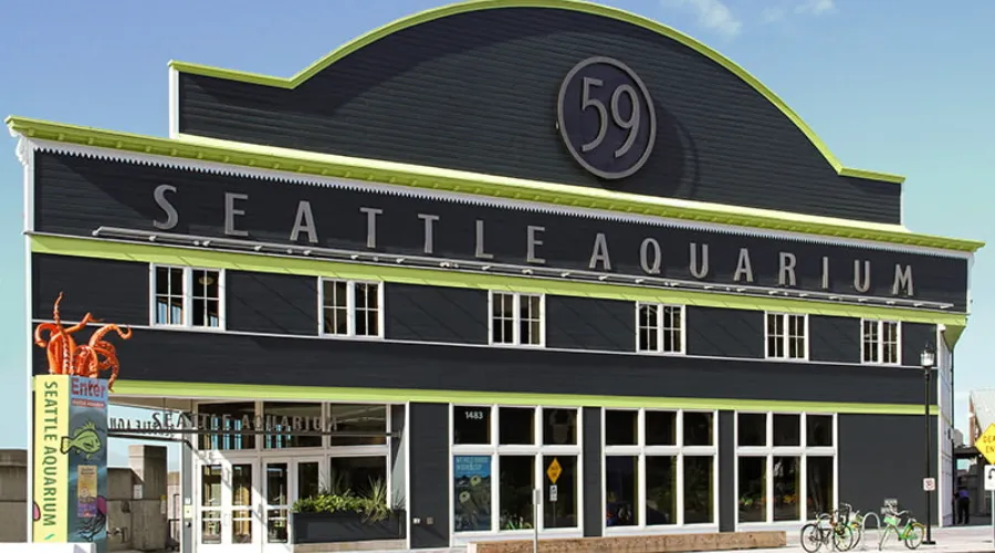 Waterfront & Unique Experiences in Seattle