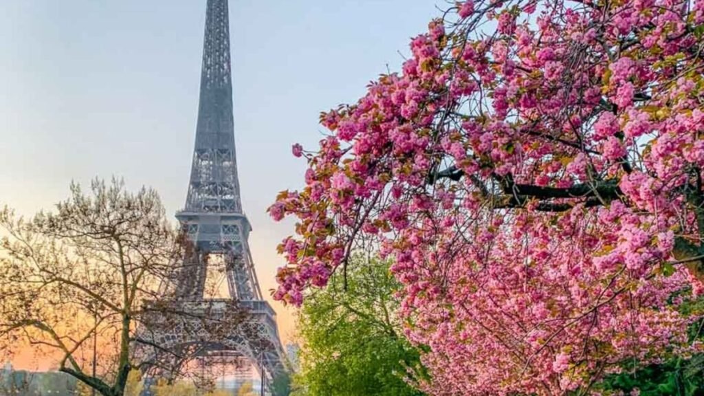 Best Places to Visit in Spring