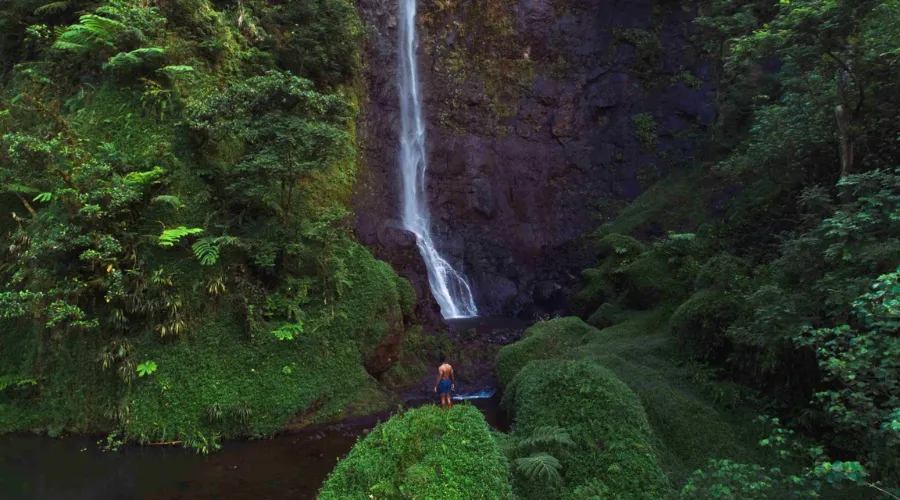 Visit Fautaua Waterfall