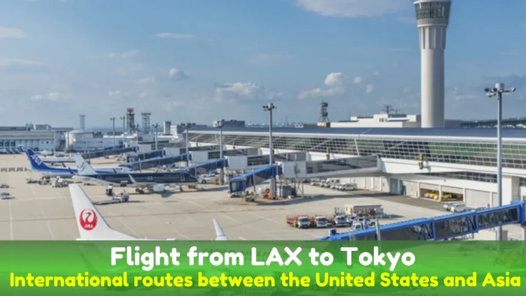 Flight from LAX to Tokyo