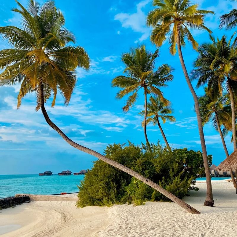 Untitled design - 2026-01-26T103926.371