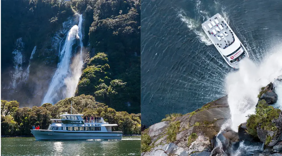 Small Group Milford Sound Tour