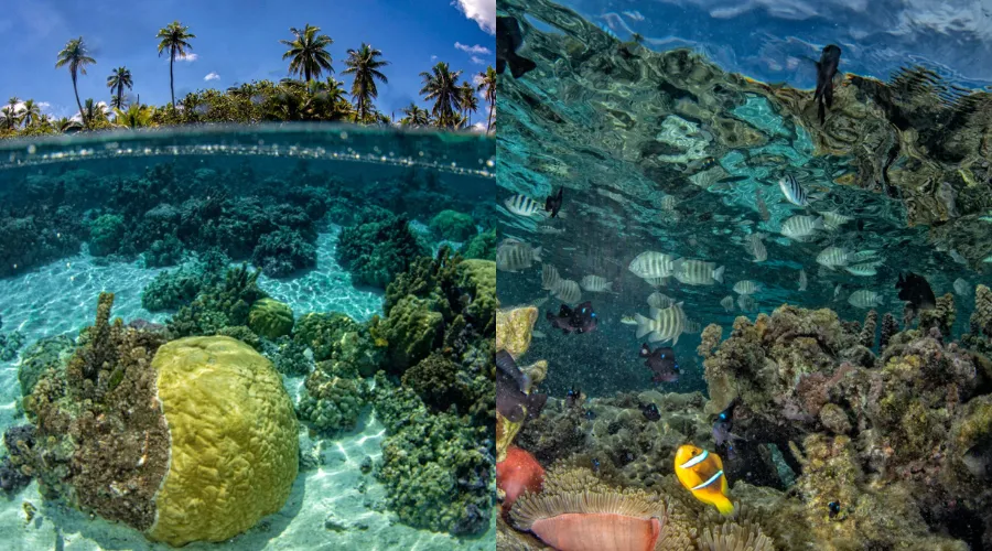 Snorkel at “The Aquarium”