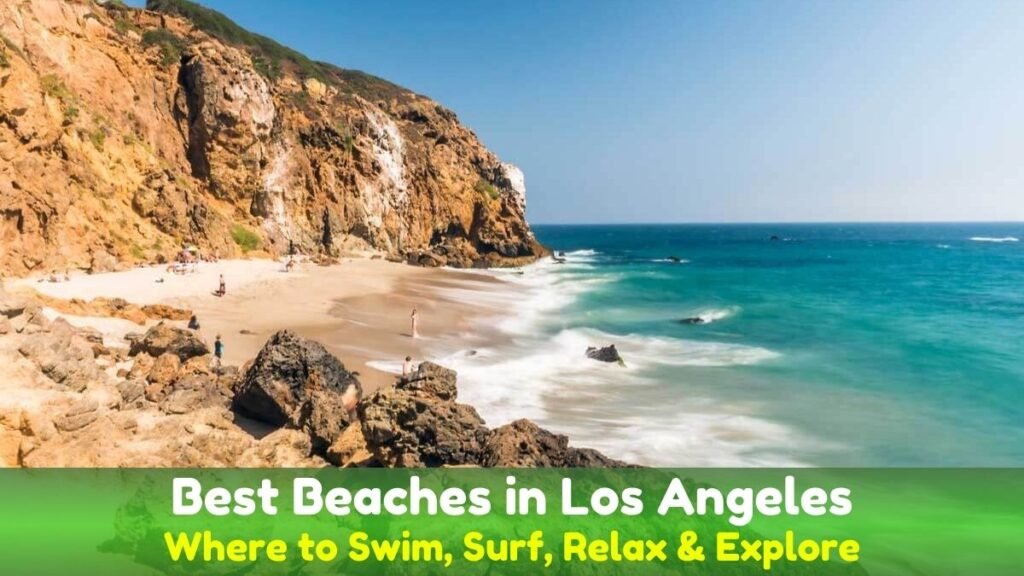Best Beaches in Los Angeles