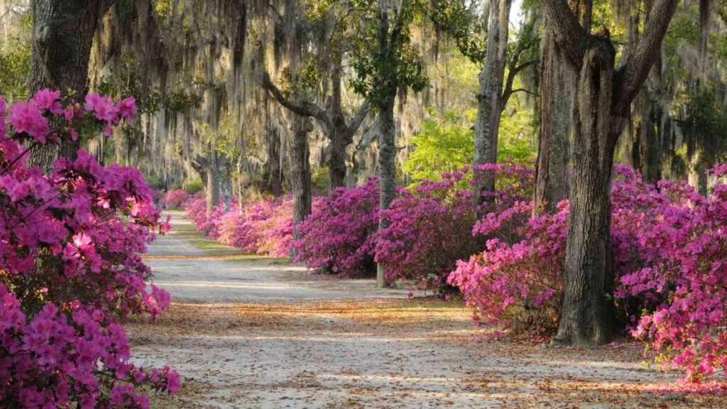 Best Places to Visit in Spring