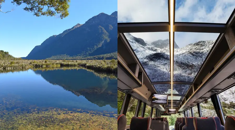 Coach & Cruise Milford Sound Tour