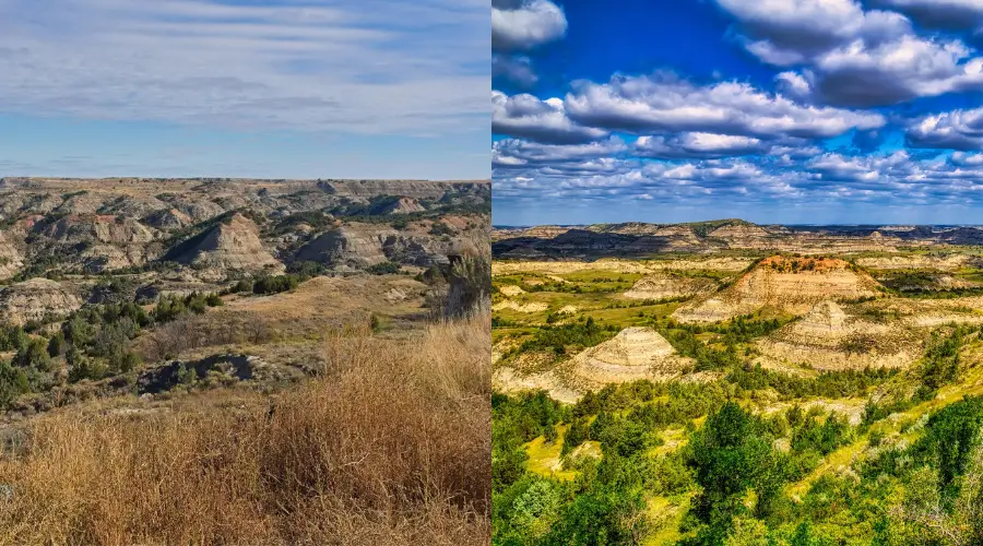 Theodore Roosevelt National Park