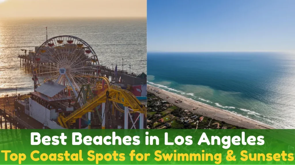 Best Beaches in Los Angeles