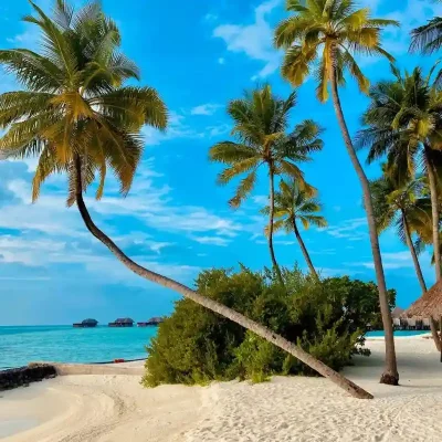 2. French Revolution Tour in Paris.jpg